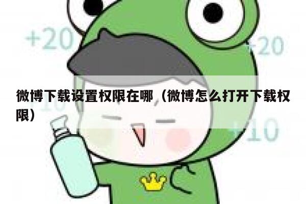 微博下载设置权限在哪（微博怎么打开下载权限） 第1张