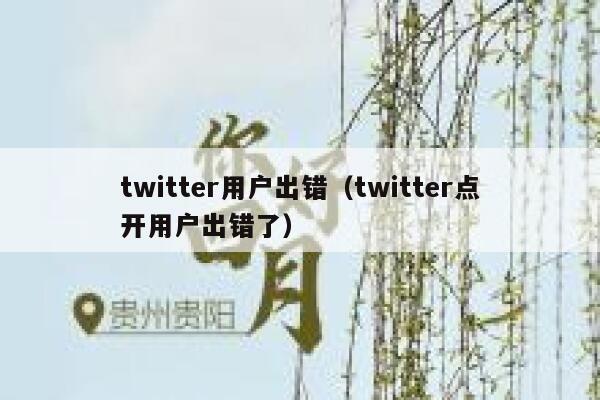 twitter用户出错（twitter点开用户出错了） 第1张