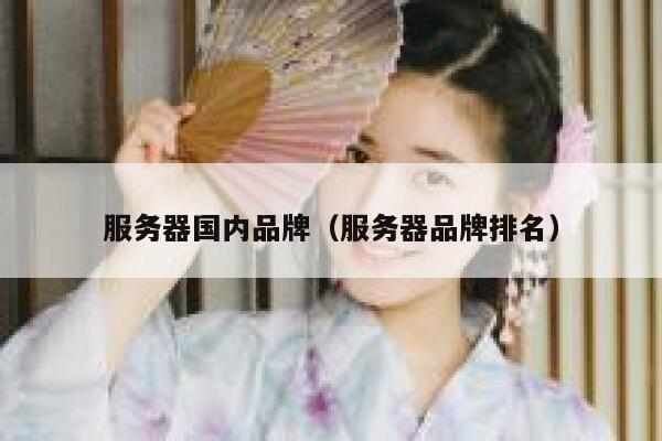 服务器国内品牌（服务器品牌排名） 第1张