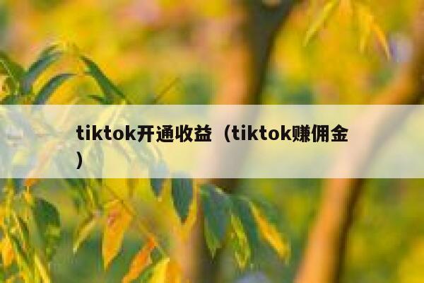 tiktok开通收益（tiktok赚佣金） 第1张