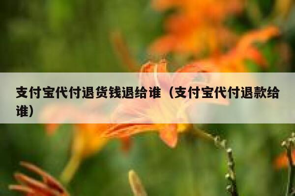 支付宝代付退货钱退给谁（支付宝代付退款给谁） 第1张