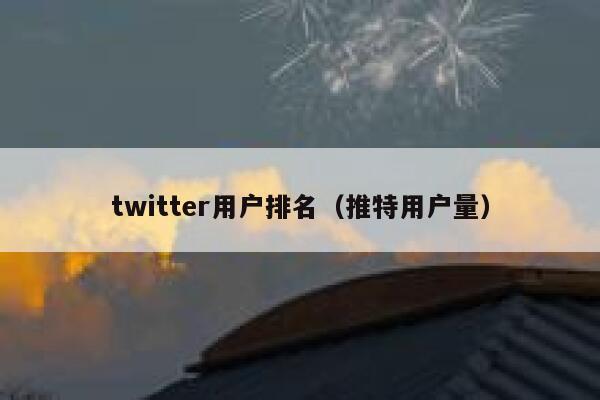 twitter用户排名（推特用户量） 第1张