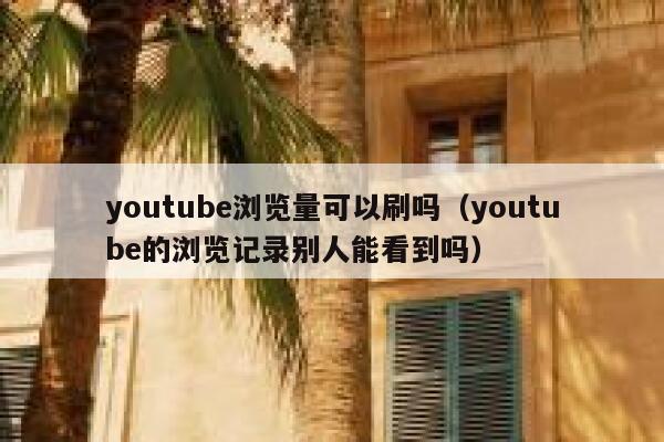 youtube浏览量可以刷吗（youtube的浏览记录别人能看到吗） 第1张
