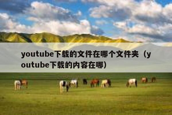 youtube下载的文件在哪个文件夹（youtube下载的内容在哪） 第1张