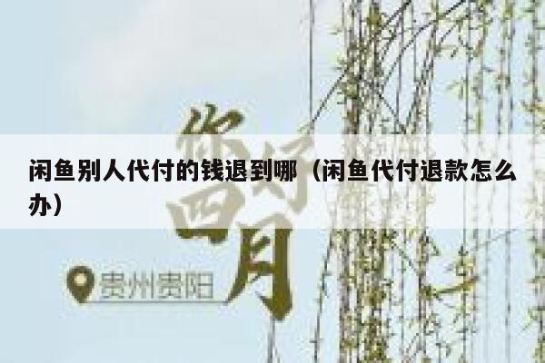 闲鱼别人代付的钱退到哪（闲鱼代付退款怎么办） 第1张