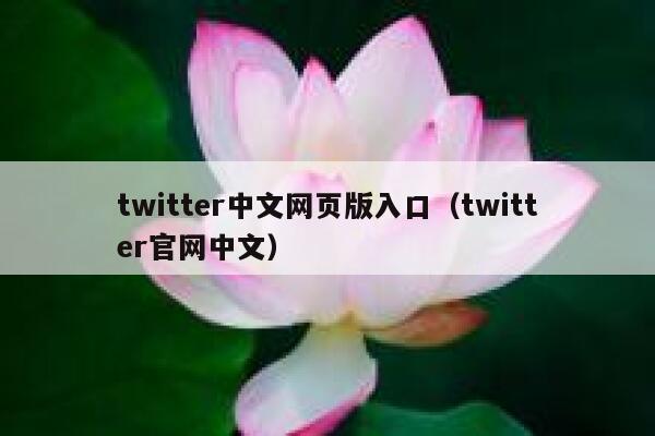twitter中文网页版入口（twitter官网中文） 第1张