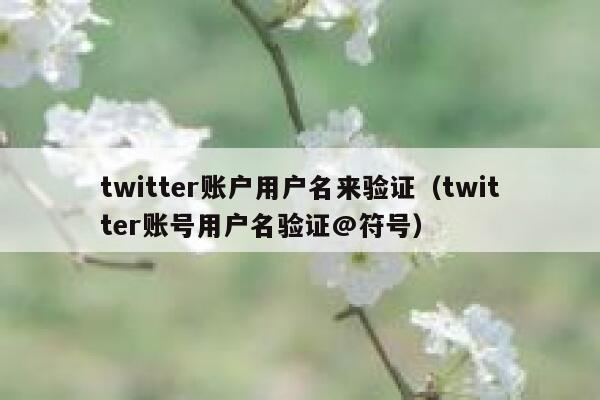 twitter账户用户名来验证（twitter账号用户名验证@符号） 第1张