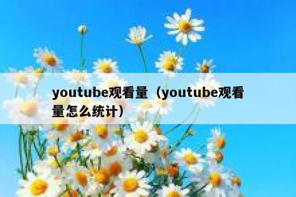 youtube观看量（youtube观看量怎么统计） 第1张