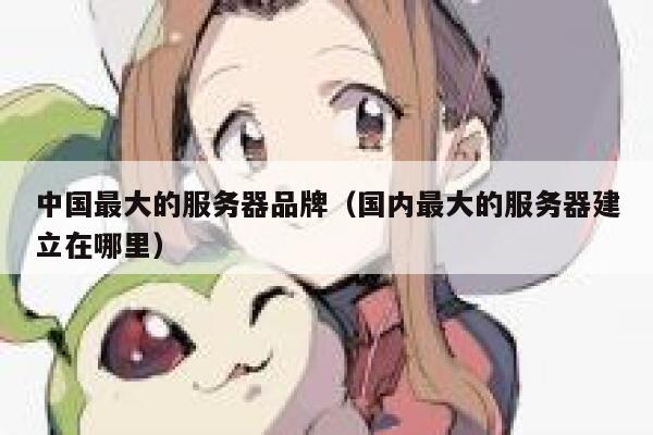 中国最大的服务器品牌（国内最大的服务器建立在哪里） 第1张