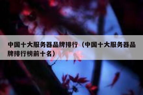 中国十大服务器品牌排行（中国十大服务器品牌排行榜前十名） 第1张