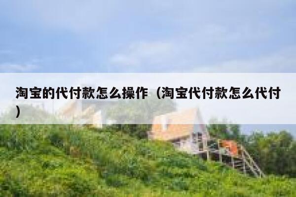 淘宝的代付款怎么操作（淘宝代付款怎么代付） 第1张