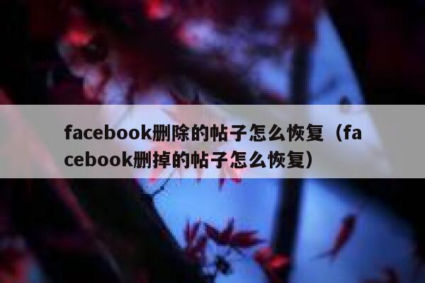 facebook删除的帖子怎么恢复（facebook删掉的帖子怎么恢复） 第1张