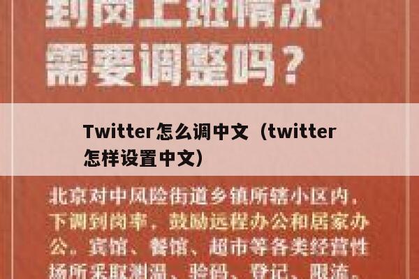 Twitter怎么调中文（twitter怎样设置中文） 第1张