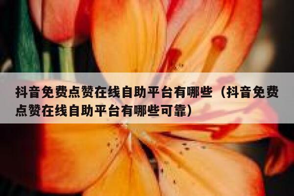 抖音免费点赞在线自助平台有哪些（抖音免费点赞在线自助平台有哪些可靠） 第1张