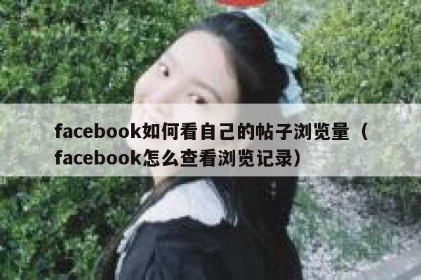 facebook如何看自己的帖子浏览量（facebook怎么查看浏览记录） 第1张