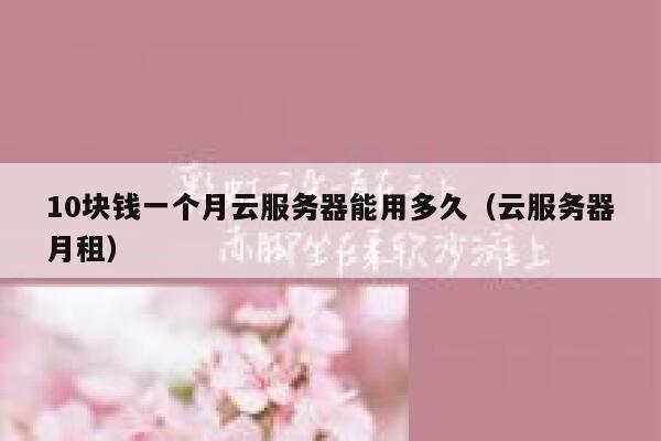 10块钱一个月云服务器能用多久（云服务器月租） 第1张