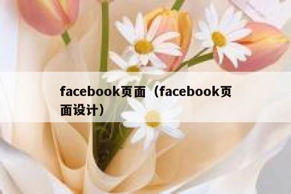 facebook页面（facebook页面设计） 第1张