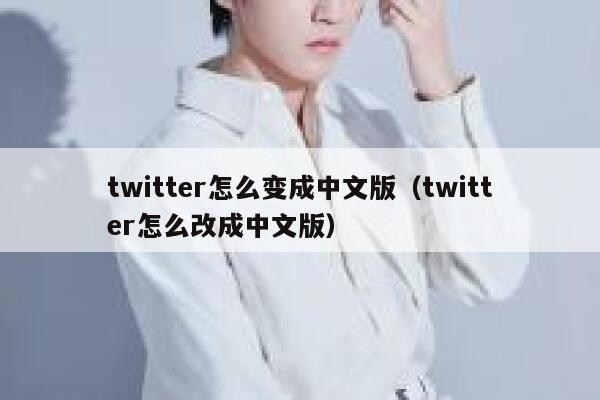 twitter怎么变成中文版（twitter怎么改成中文版） 第1张