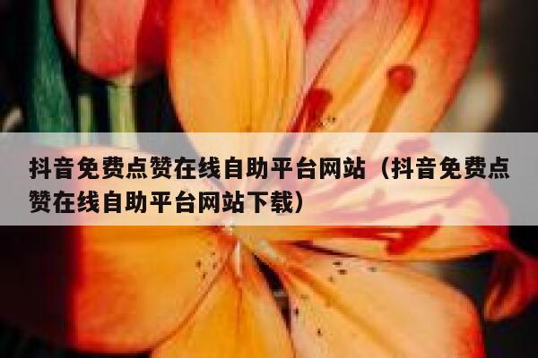 抖音免费点赞在线自助平台网站(抖音免费点赞在线自助平台网站下载) 第1张 抖音免费点赞在线自助平台网站(抖音免费点赞在线自助平台网站下载) 第1张