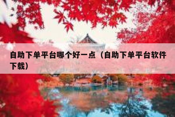 自助下单平台哪个好一点（自助下单平台软件下载） 第1张