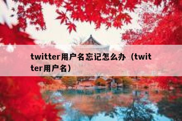 twitter用户名忘记怎么办(twitter用户名) 第1张 twitter用户名忘记怎么办(twitter用户名) 第1张