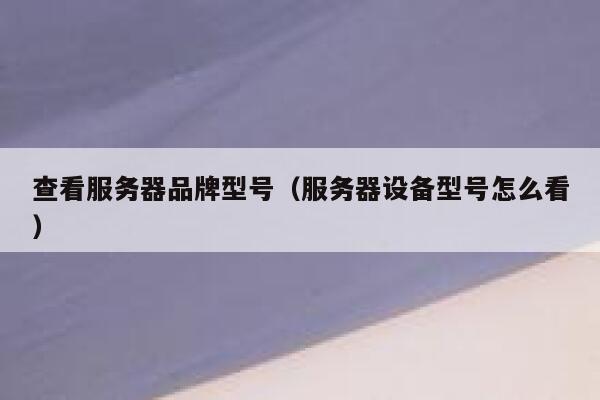 查看服务器品牌型号（服务器设备型号怎么看） 第1张