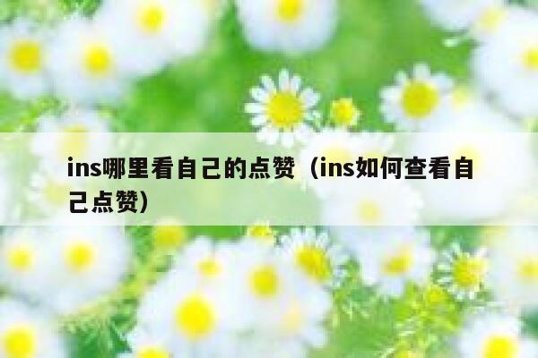 ins哪里看自己的点赞（ins如何查看自己点赞） 第1张