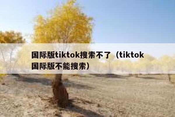 国际版tiktok搜索不了（tiktok国际版不能搜索） 第1张