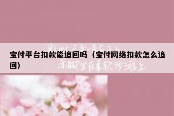 宝付平台扣款能追回吗（宝付网络扣款怎么追回） 第1张
