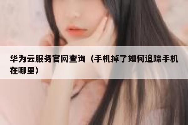 华为云服务官网查询（手机掉了如何追踪手机在哪里） 第1张