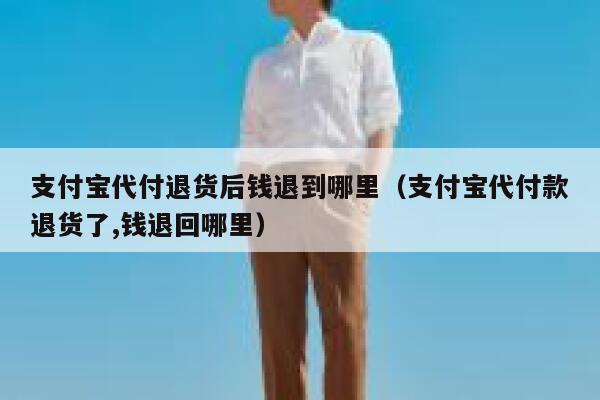 支付宝代付退货后钱退到哪里（支付宝代付款退货了,钱退回哪里） 第1张
