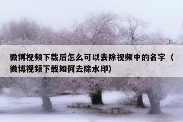 微博视频下载后怎么可以去除视频中的名字（微博视频下载如何去除水印） 第1张