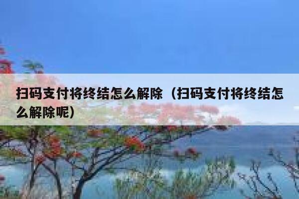扫码支付将终结怎么解除（扫码支付将终结怎么解除呢） 第1张