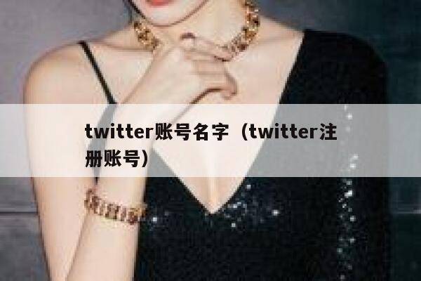 twitter账号名字（twitter注册账号） 第1张