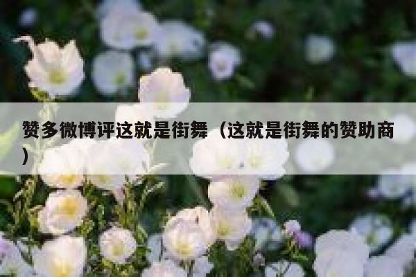 赞多微博评这就是街舞（这就是街舞的赞助商） 第1张