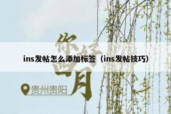 ins发帖怎么添加标签（ins发帖技巧） 第1张