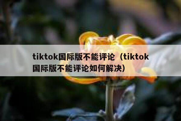 tiktok国际版不能评论（tiktok国际版不能评论如何解决） 第1张