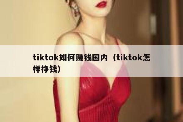 tiktok如何赚钱国内（tiktok怎样挣钱） 第1张