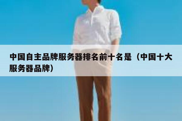 中国自主品牌服务器排名前十名是（中国十大服务器品牌） 第1张