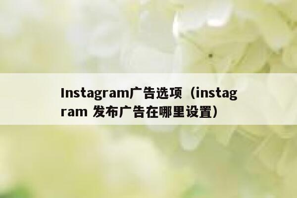 Instagram广告选项（instagram 发布广告在哪里设置） 第1张