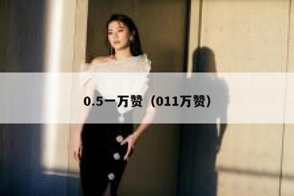 0.5一万赞（011万赞） 第1张