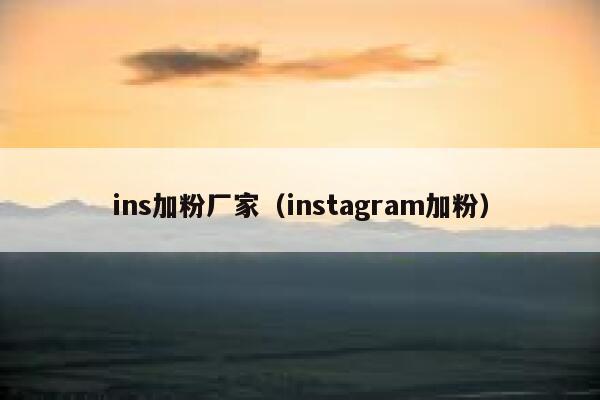 ins加粉厂家（instagram加粉） 第1张