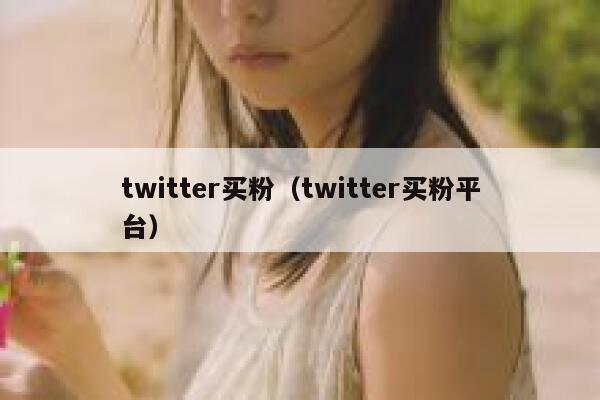 twitter买粉（twitter买粉平台） 第1张
