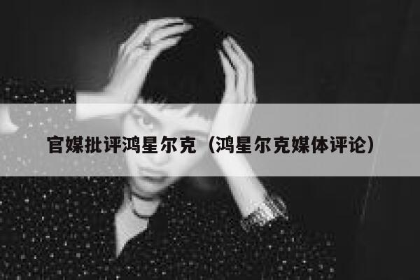 官媒批评鸿星尔克（鸿星尔克媒体评论） 第1张