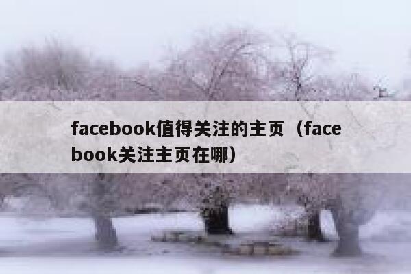 facebook值得关注的主页（facebook关注主页在哪） 第1张