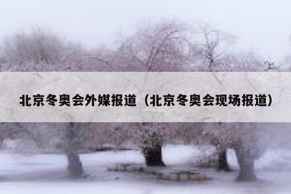 北京冬奥会外媒报道（北京冬奥会现场报道） 第1张