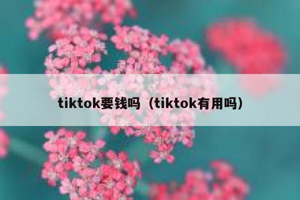 tiktok要钱吗（tiktok有用吗） 第1张