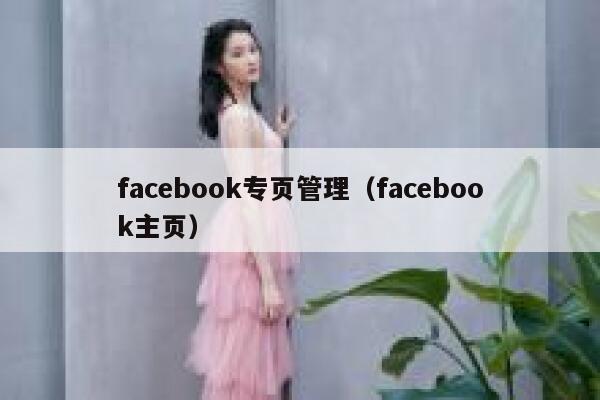 facebook专页管理（facebook主页） 第1张