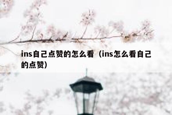 ins自己点赞的怎么看（ins怎么看自己的点赞） 第1张