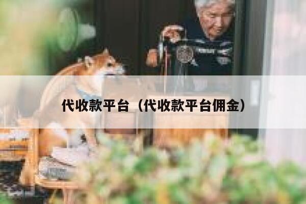 代收款平台（代收款平台佣金） 第1张